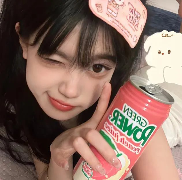 藏珠